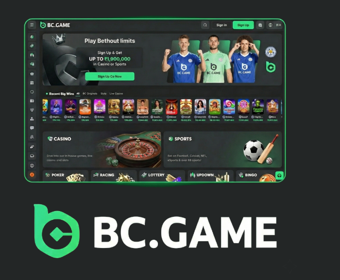 Comprehensive Guide to BC.Game Official Mirror List 1716215646